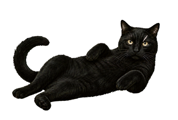 Illustrated full-body portrait of Happy Blacky, a solid-black community cat